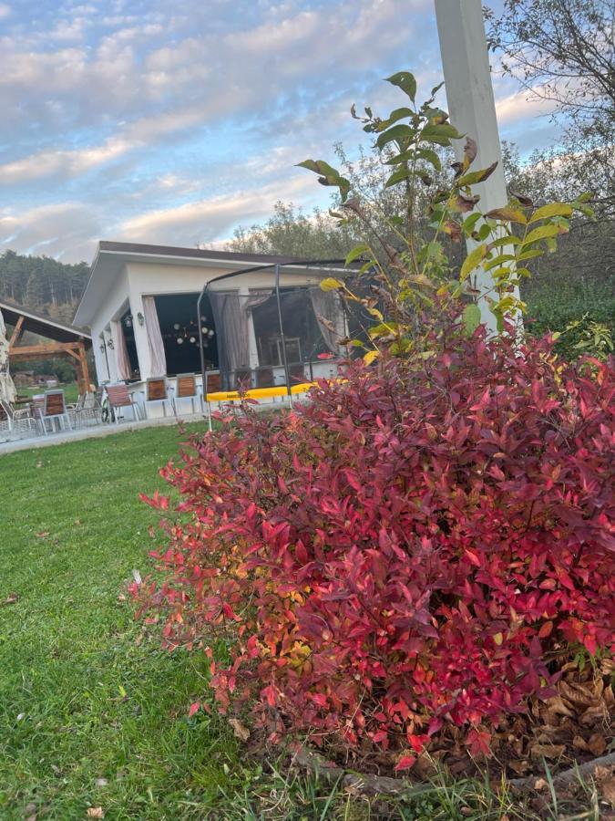 Pensiunea Baroc Dobirlau Bagian luar foto