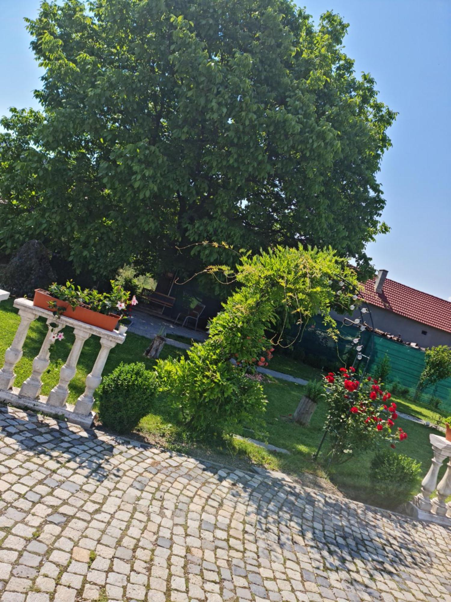 Pensiunea Baroc Dobirlau Bagian luar foto